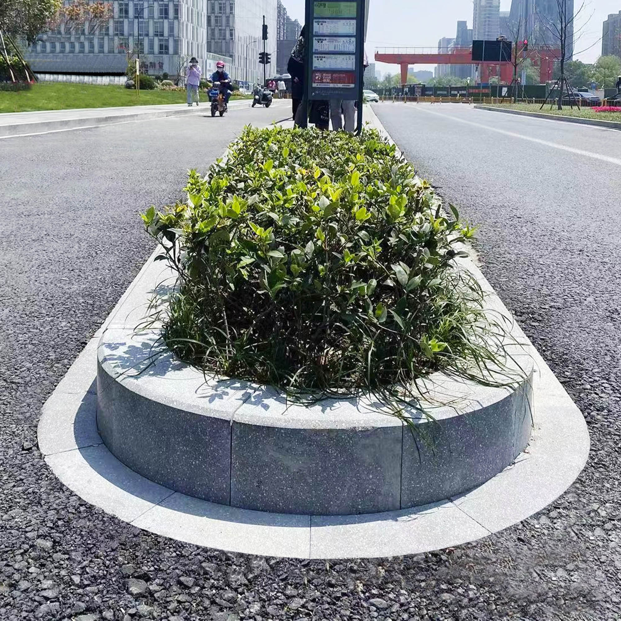 Median Tree Pit Surrounds